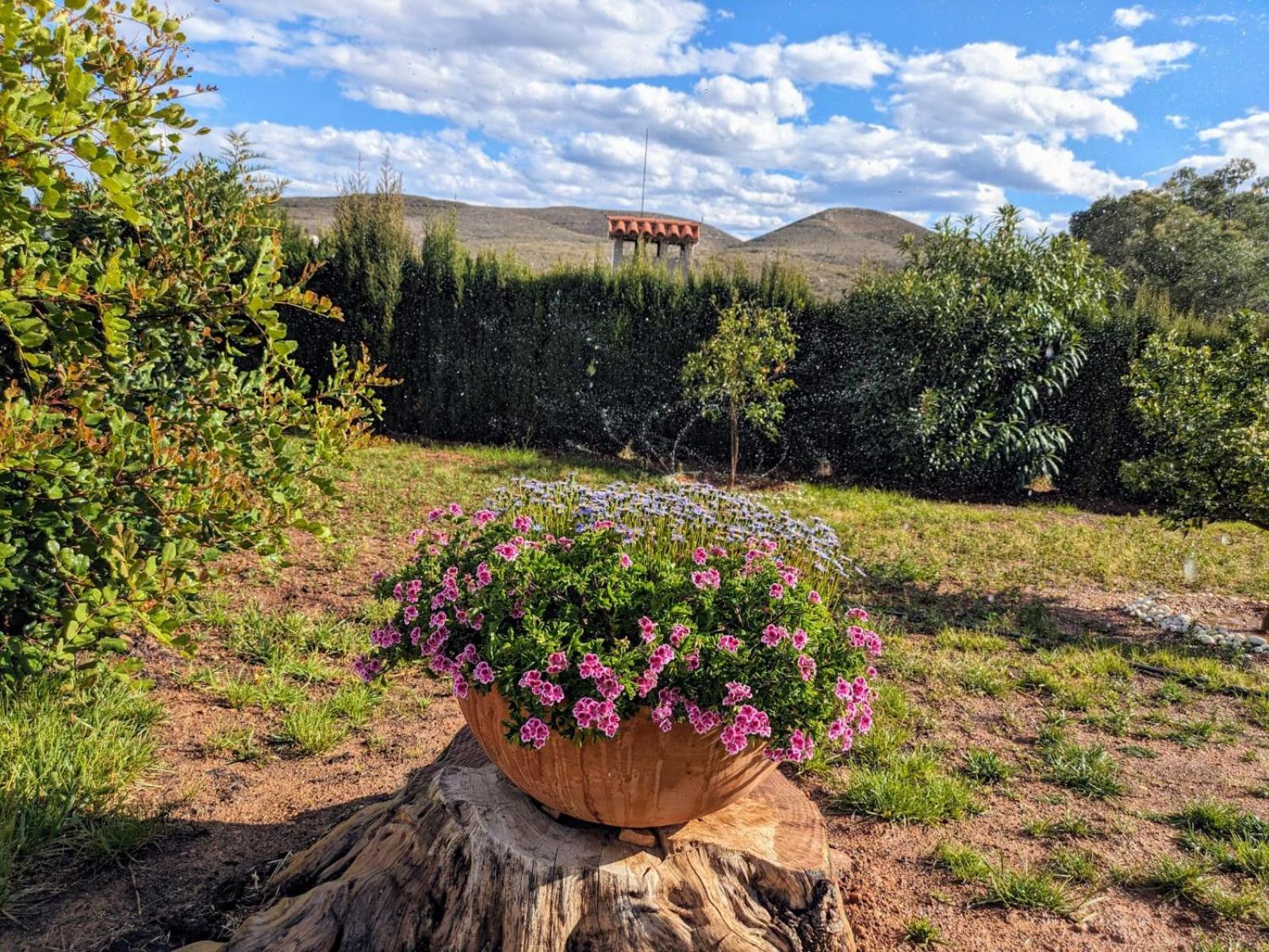 Buen Estar, Piscina, Barbacoa, Jacuzzi En Valencia Villa Turis Luaran gambar